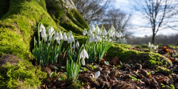 Nieuwsbrief februari 2026